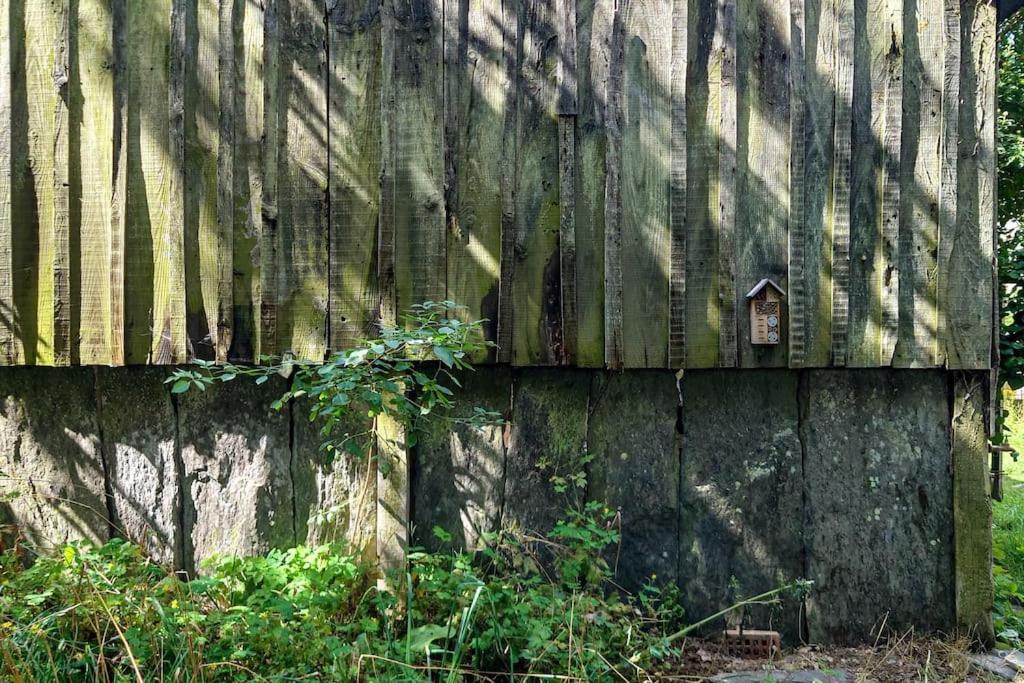 Longere Tinyhouse Avec Son Jardin-Foret Saint-Just  Luaran gambar